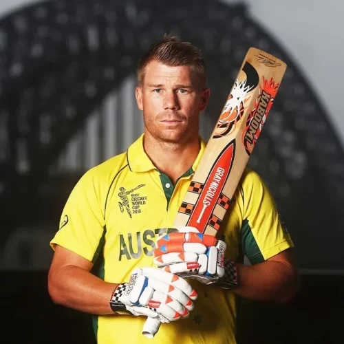 David Warner Net Worth